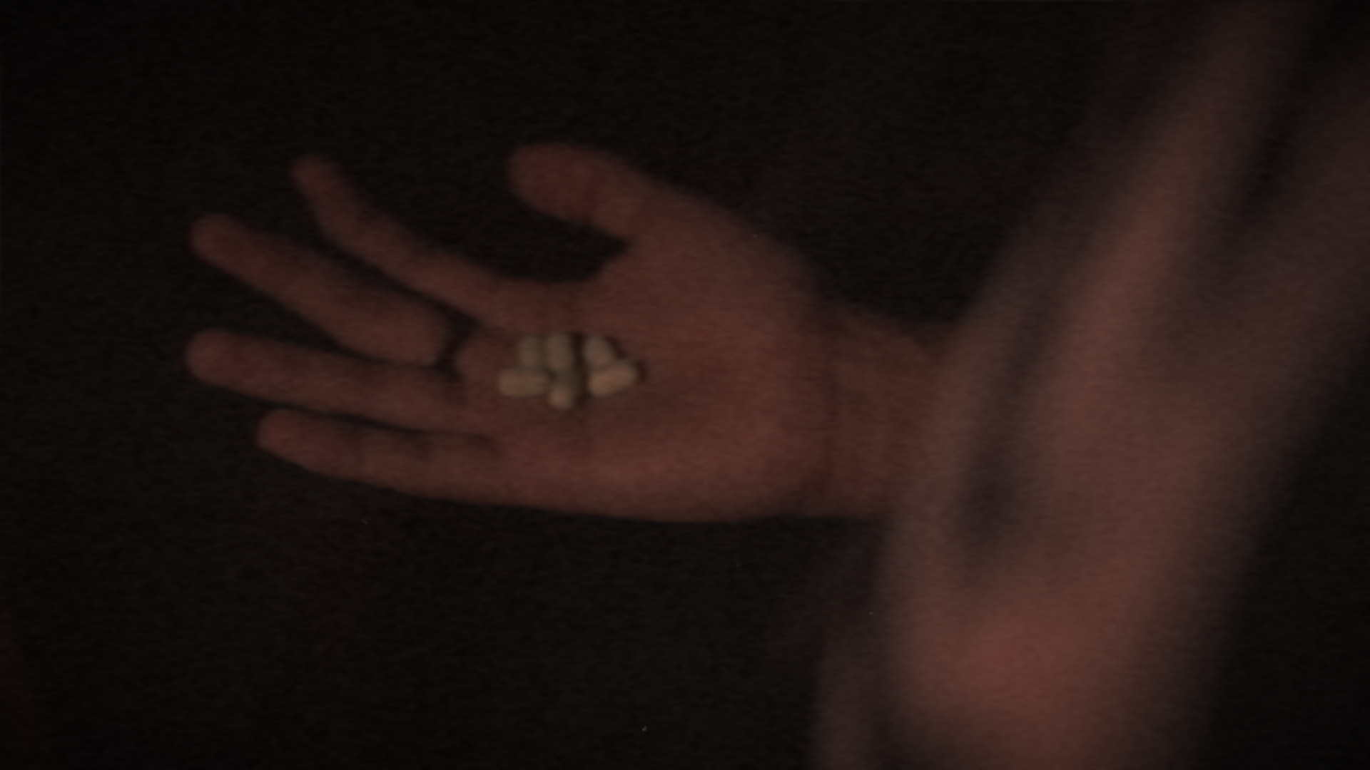 Still from Horrizaphenics
